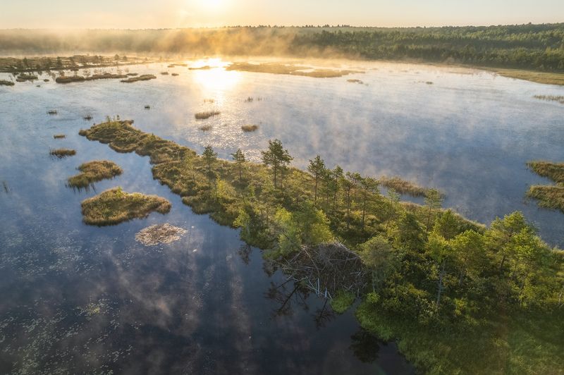 Болото Галкиноphoto preview