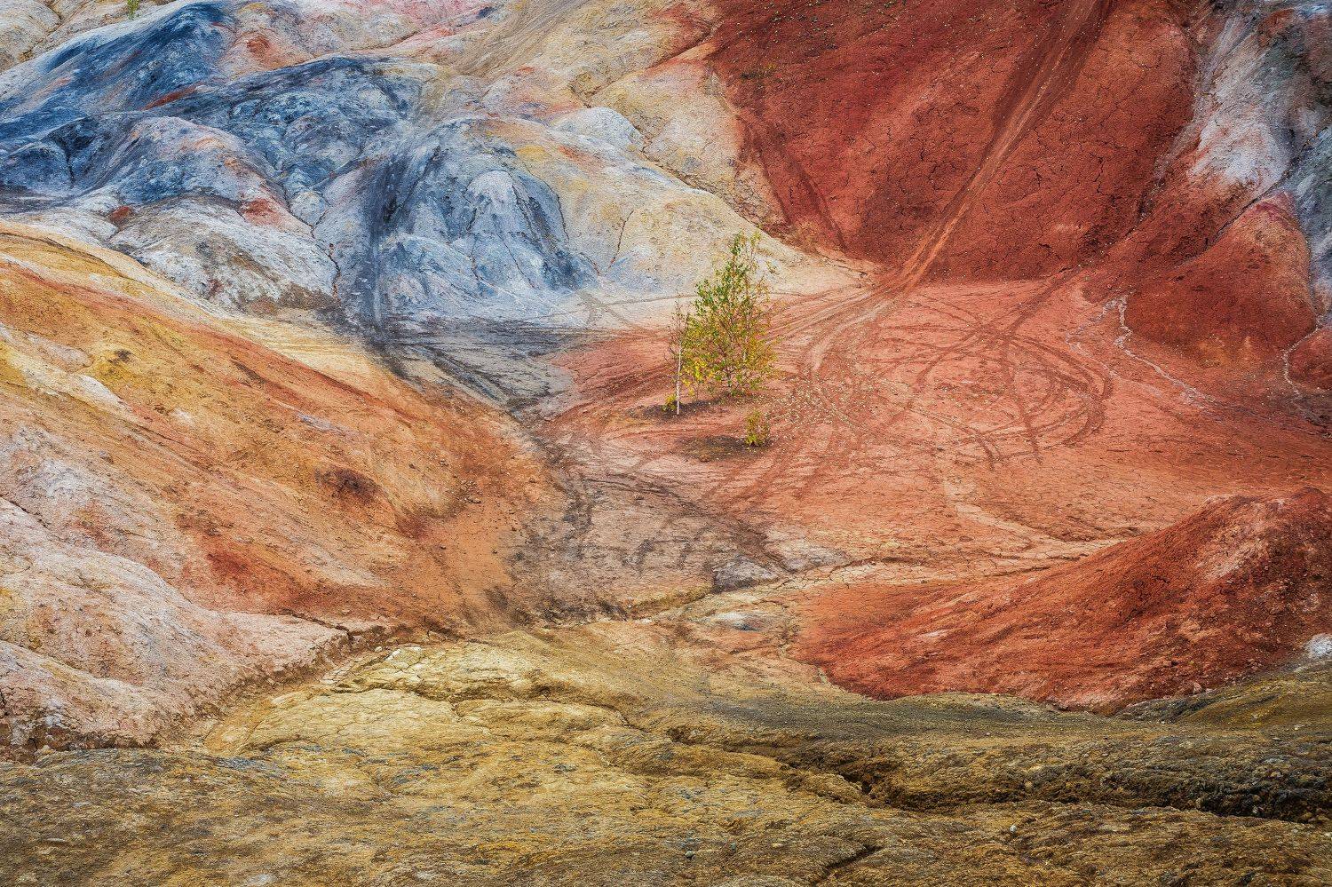 *******. Автор: Андрей Шарапов , Андрей Шарапов