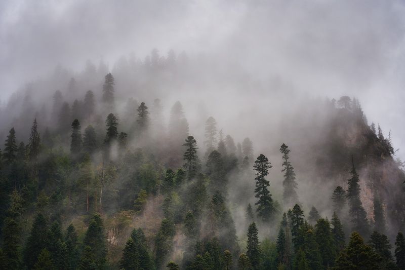 домбай dombay Домбай. Карачаево-Черкесская Республика фото превью