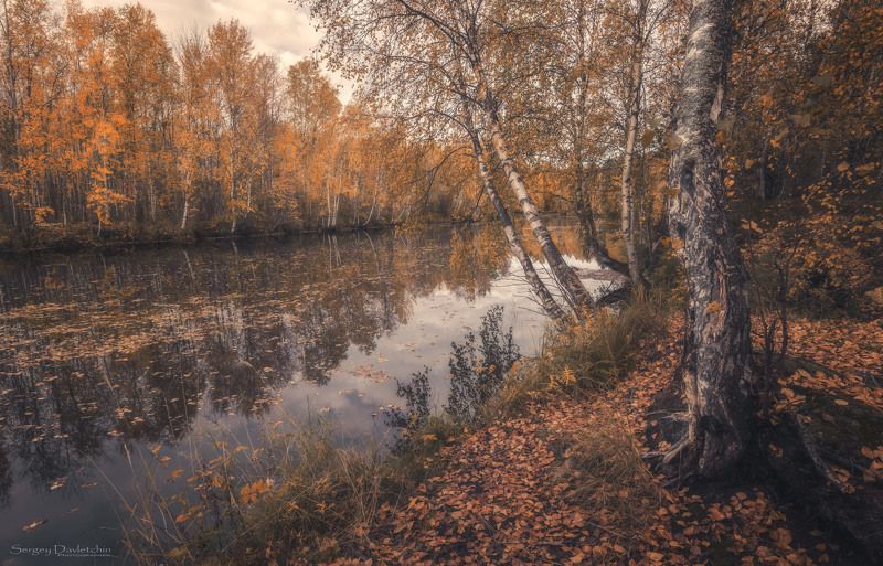 Золотая осеньphoto preview