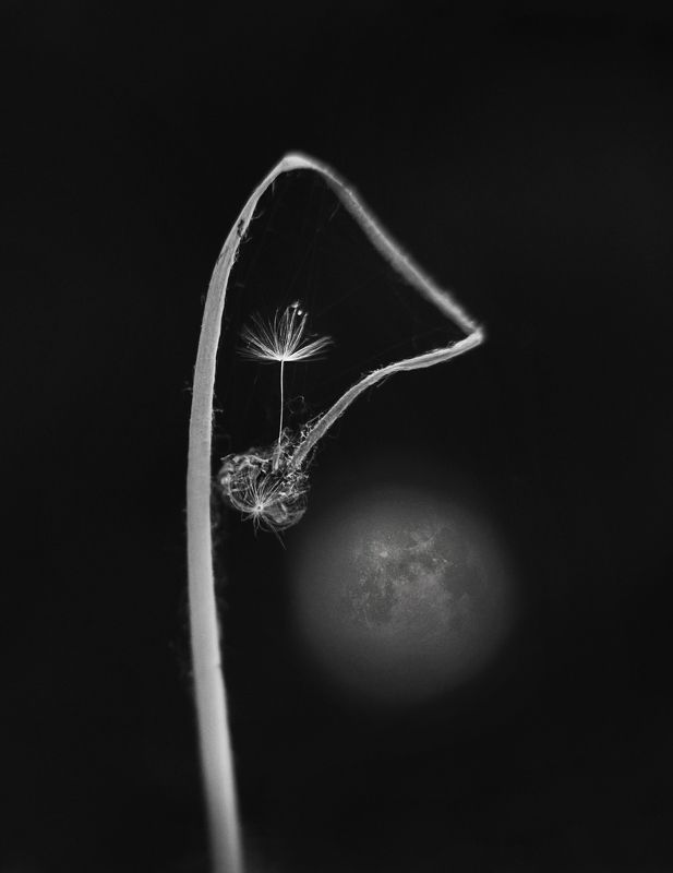 Об угасающем мгновенииphoto preview