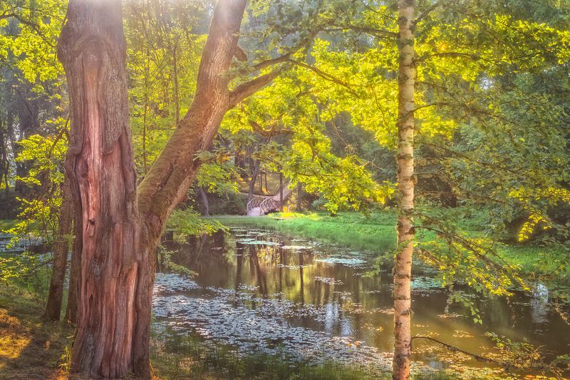 утреняя прогулка photo preview