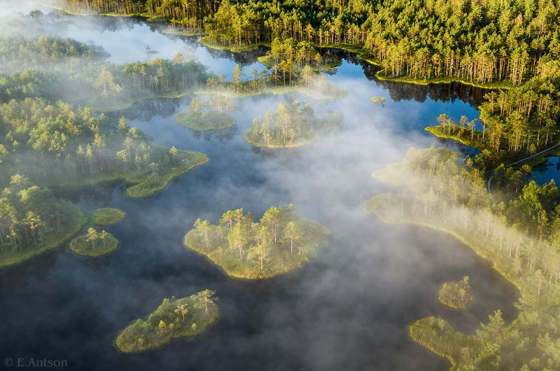 пейзаж, природа, эстония, болото Над утренним болотомphoto preview