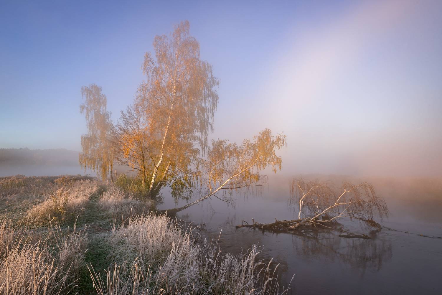 Осенняя прохлада.... Автор: Александр Гвоздь осень, утро, туман, свислочь, мороз, Александр Гвоздь
