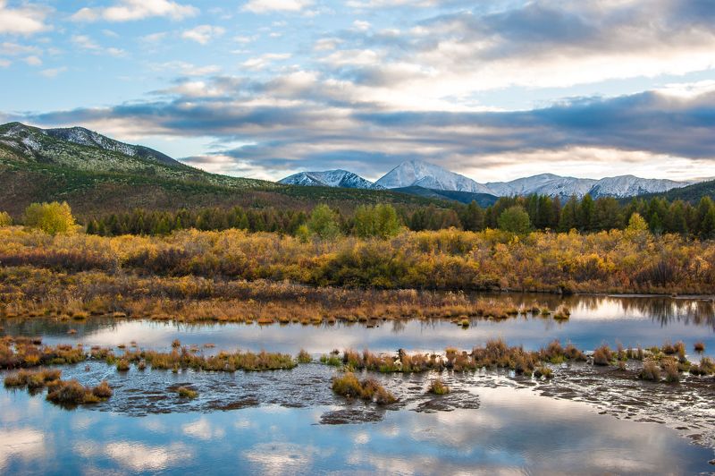 Утиное болотоphoto preview