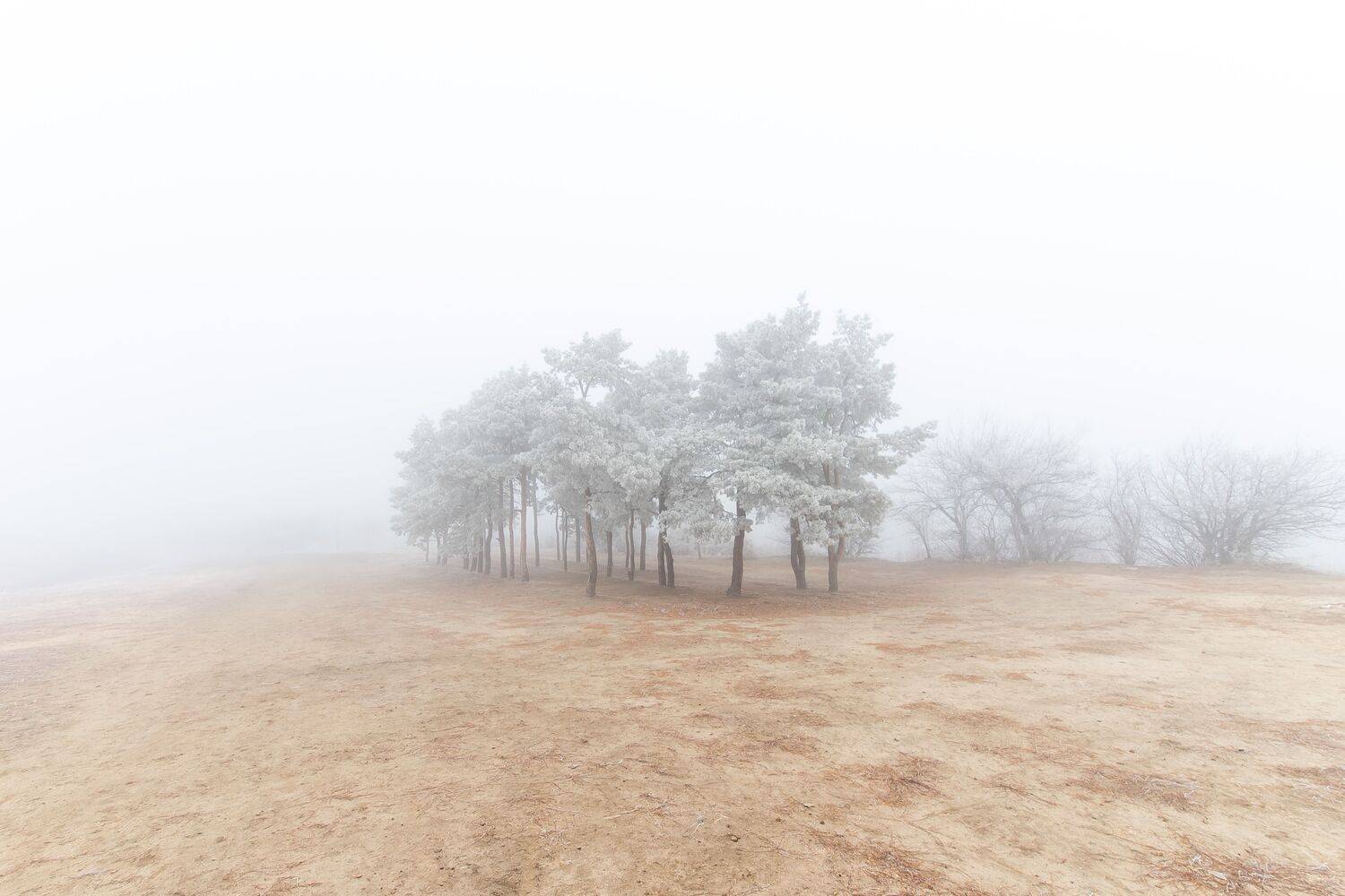 Fog. Автор: Сторчилов Павел Fog, volgograd, russia, landscapes, , Сторчилов Павел