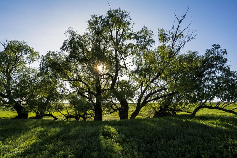 *******photo preview