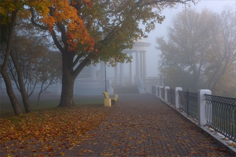 осень, утро, рассвет, сад, александровский, туман, листва Осень в Александровскомphoto preview