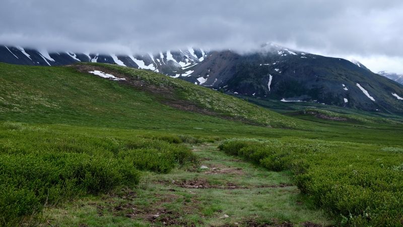 алтай, республикаалтай, плато, ештыкол, горы,  Под куполом небаphoto preview