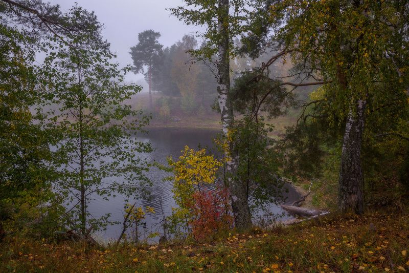 саврасово туман утро краски осень Пасмурное утроphoto preview