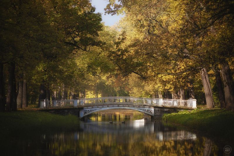 пушкин, осень, парк Октябрь в Александровском паркеphoto preview