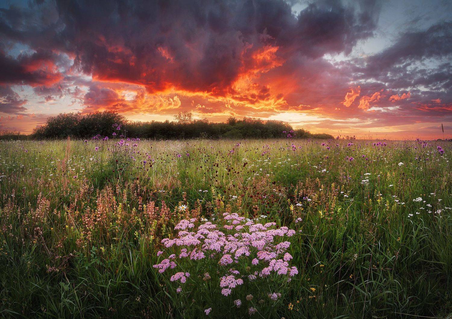 Лето. Автор: Смольский Евгений закат, панорама, лето, поле, Смольский Евгений