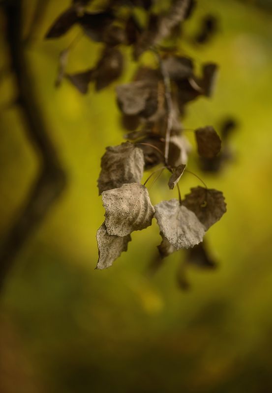 октябрьphoto preview