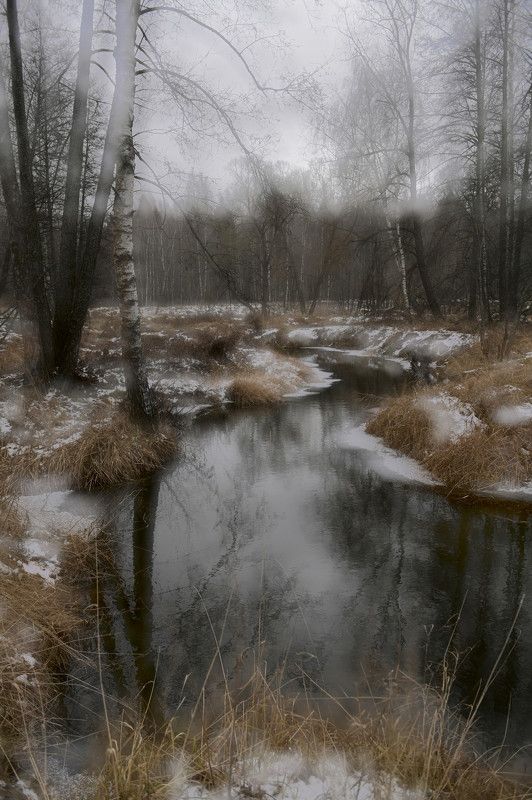 Предзимье фото превью