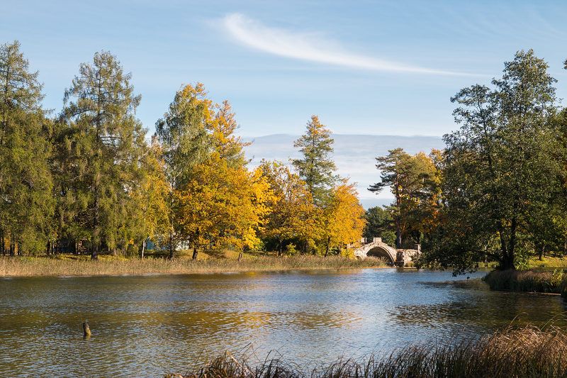 Осень в Гатчинеphoto preview