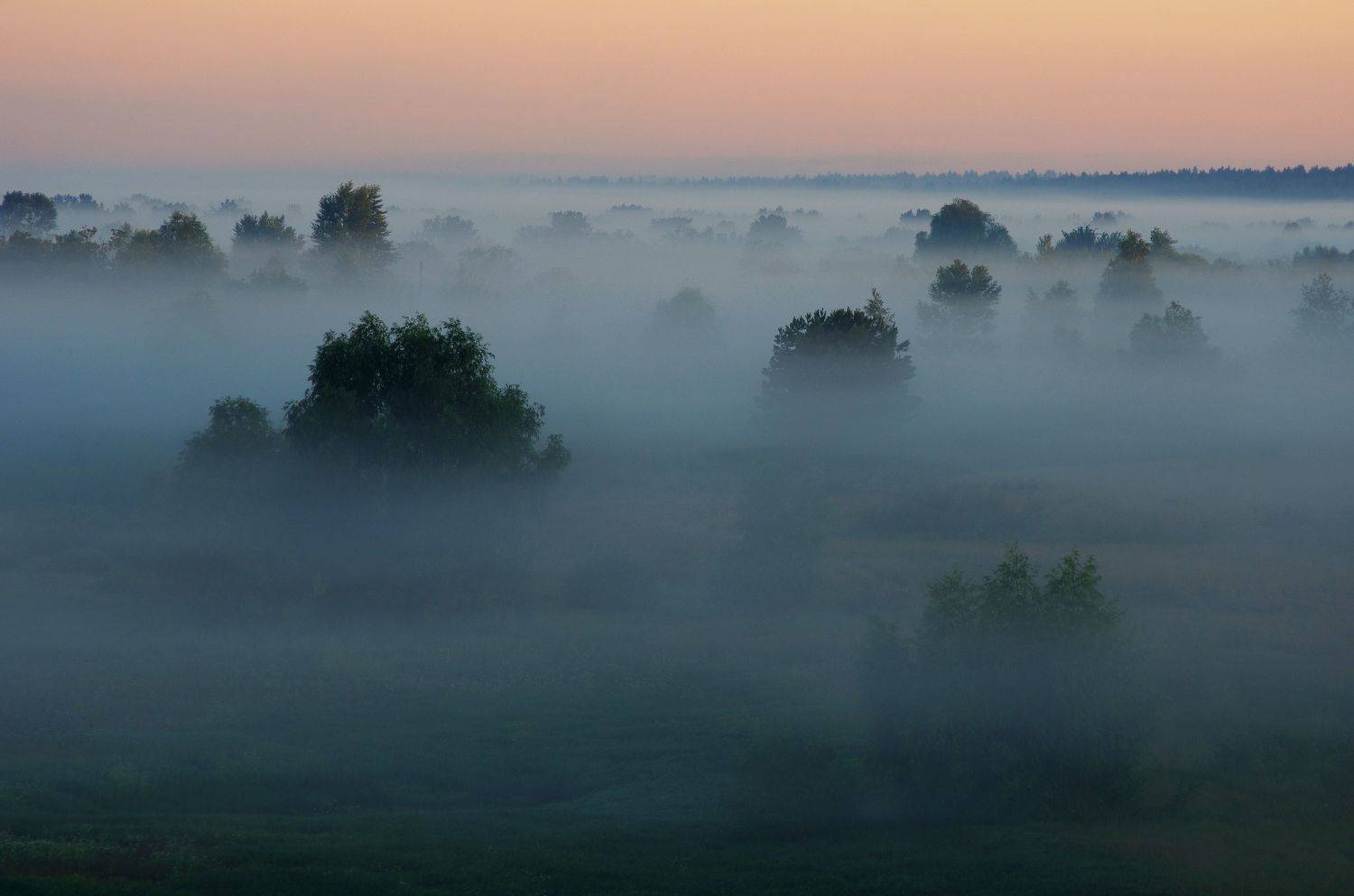 Летний рассвет. Автор: Сергей Шляга , Сергей Шляга