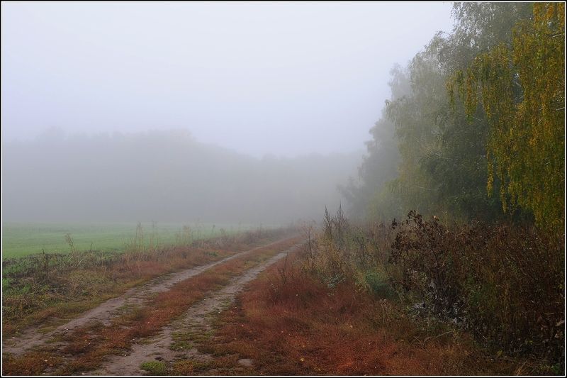 Вот и осеньphoto preview