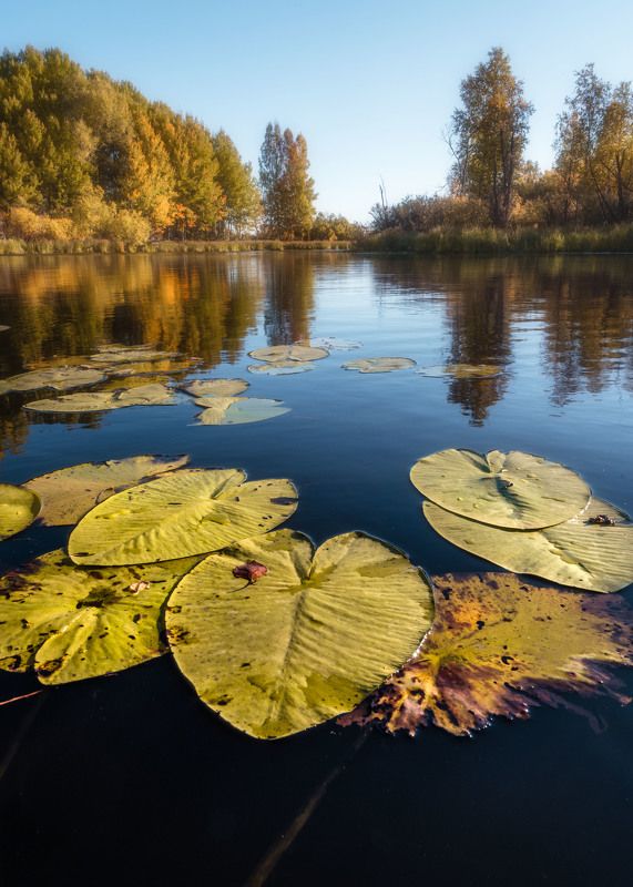 Осенние этюды…  Autumn sketches…photo preview