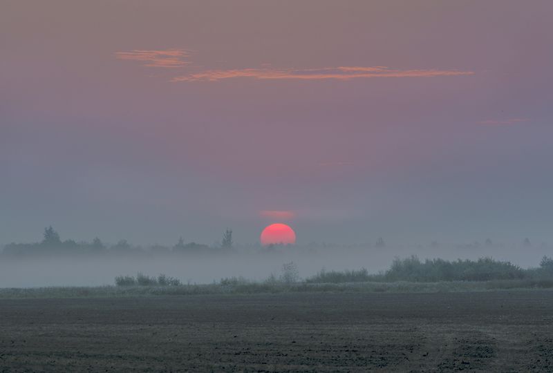 занималась алая заряphoto preview