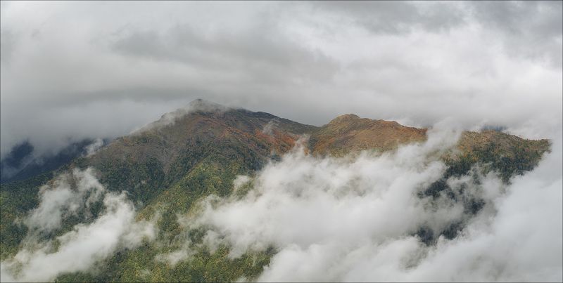 Поляна 1389 фото превью
