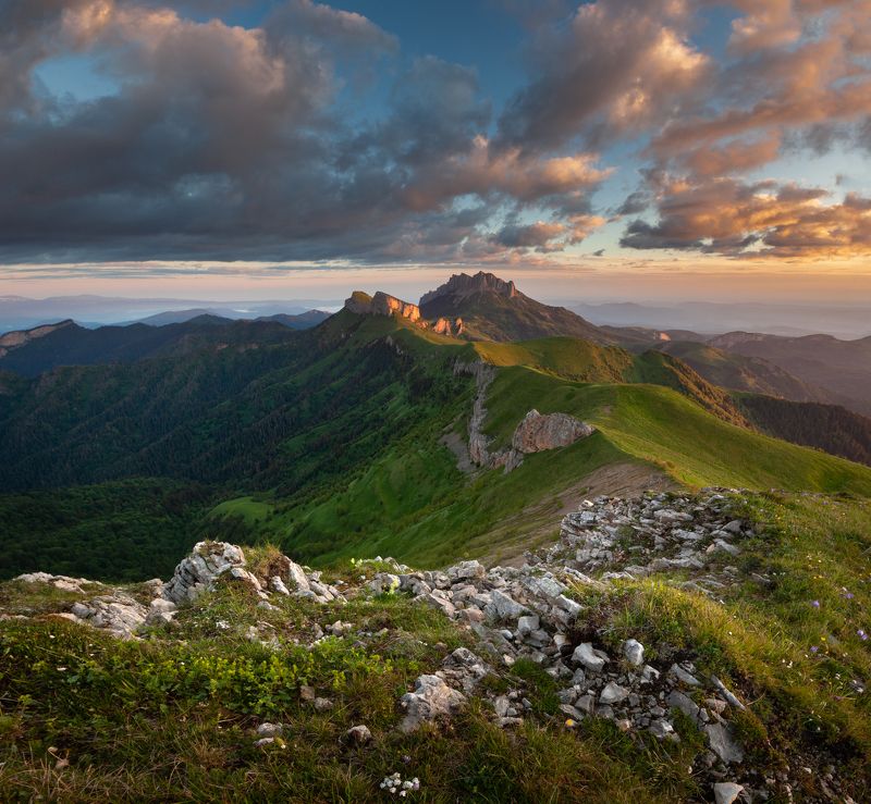 Тхачphoto preview