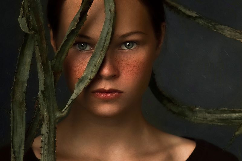 portait Cactusphoto preview