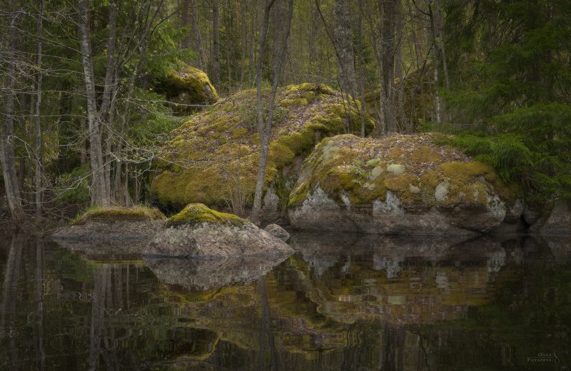 карельский перешеек, ленинградская область, зеркальное озеро, зеркальное отражение, камни, скалы, мох, абстрактный пейзаж, пригороды петербурга, карелия, искусство природы, тайга, северный лес Зеркальные озёра Карельского перешейкаphoto preview