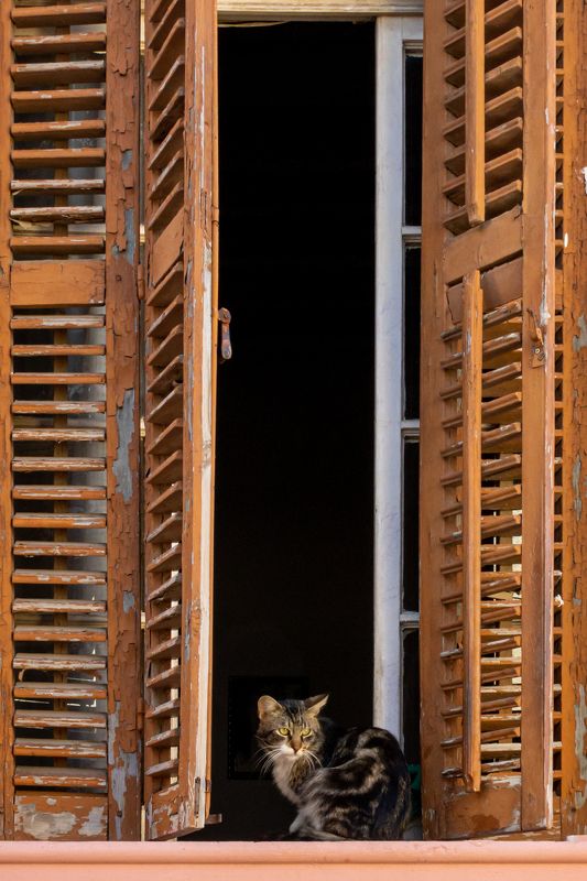 Хозяева города.photo preview