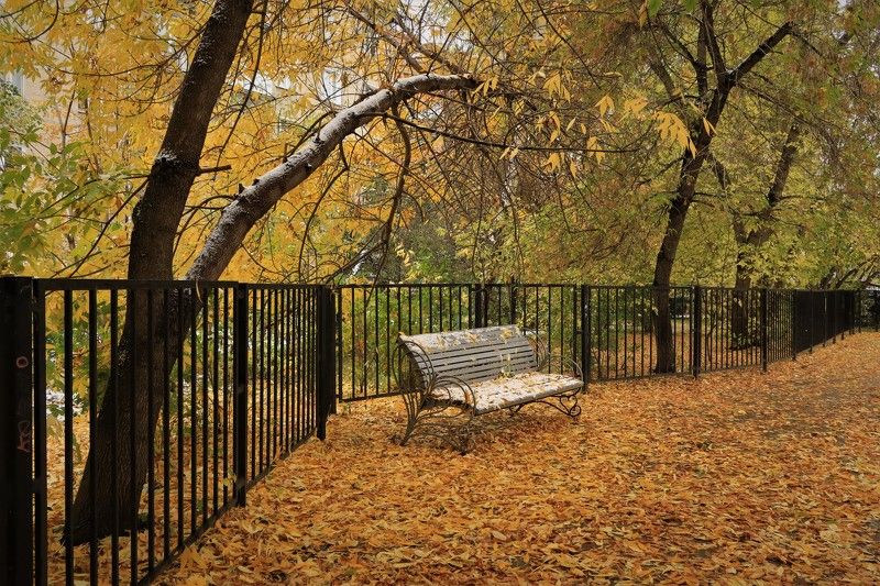 осень,скамейка,листья,сквер Скамейка в сквереphoto preview