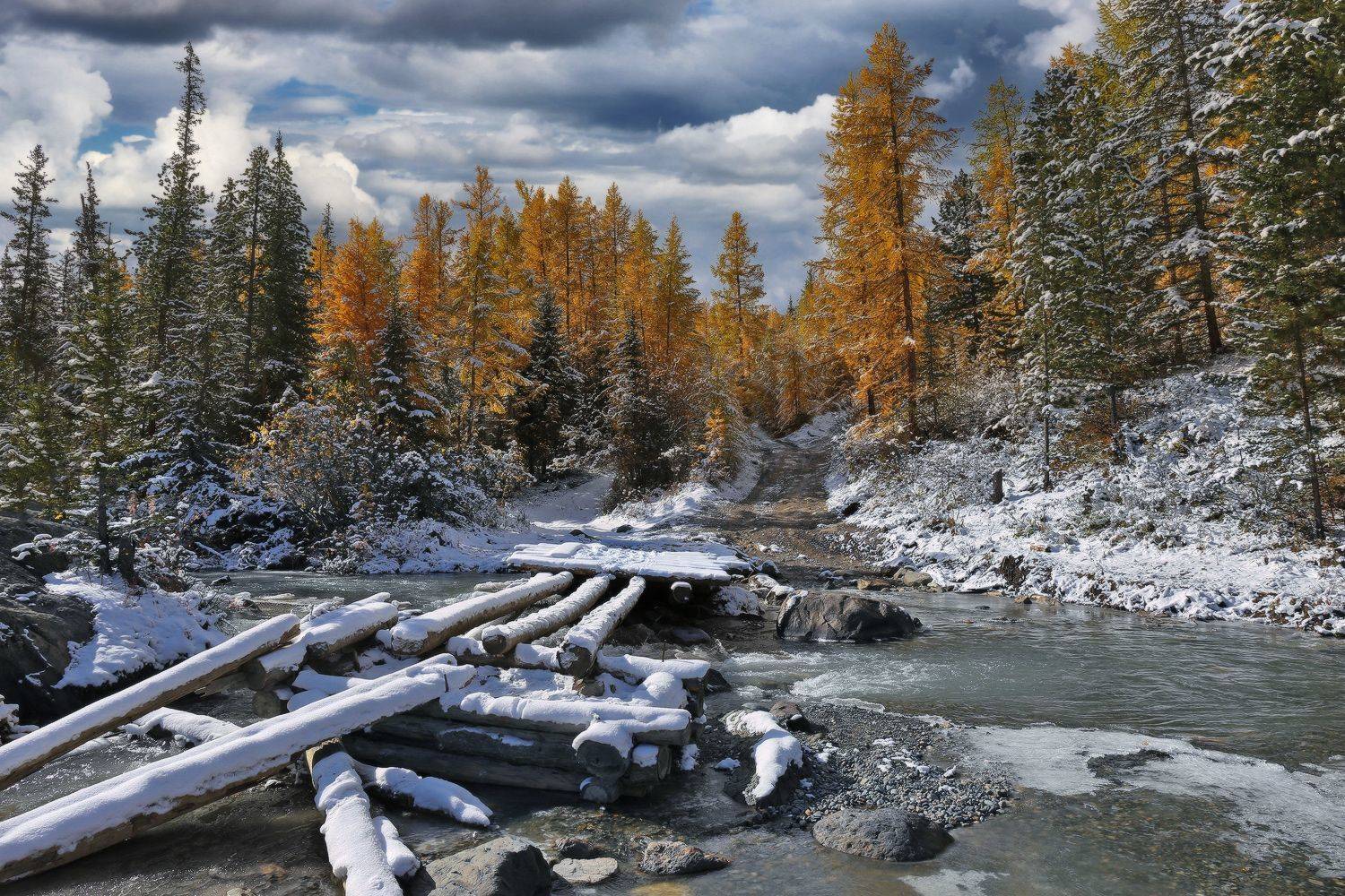 актру, горный алтай, алтай, курай, республика алтай, Галина Хвостенко