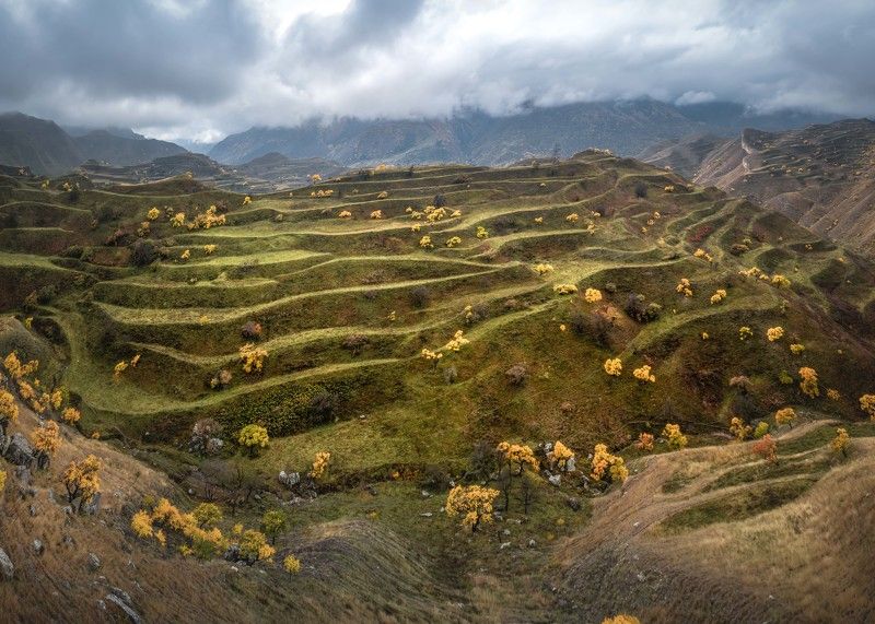 Чудесные террасы…  Great terraces...photo preview
