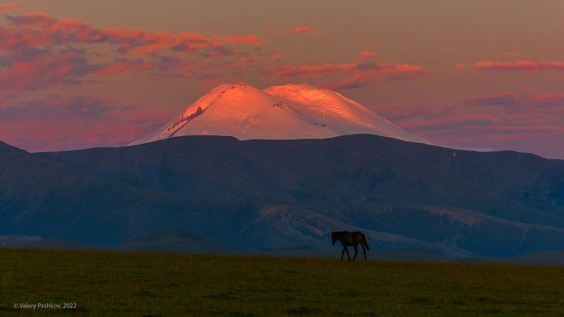 эльбрус, рассвет, утро в горах, пастбища, пастбищные хребты, кабардино-балкария, центральный кавказ Эльбрус: 3 момента одного рассвета фото превью