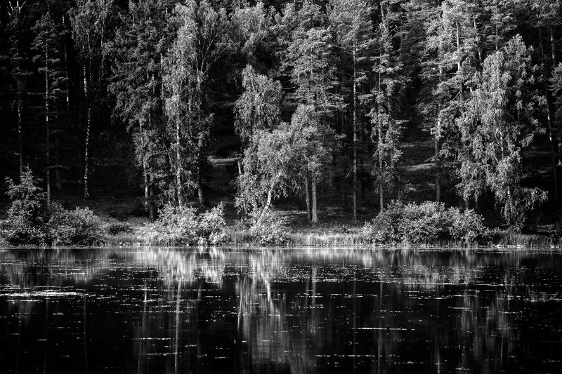 *******photo preview