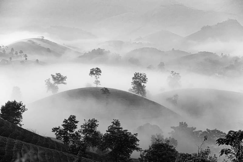 LONG CỐC VIỆT NAMphoto preview