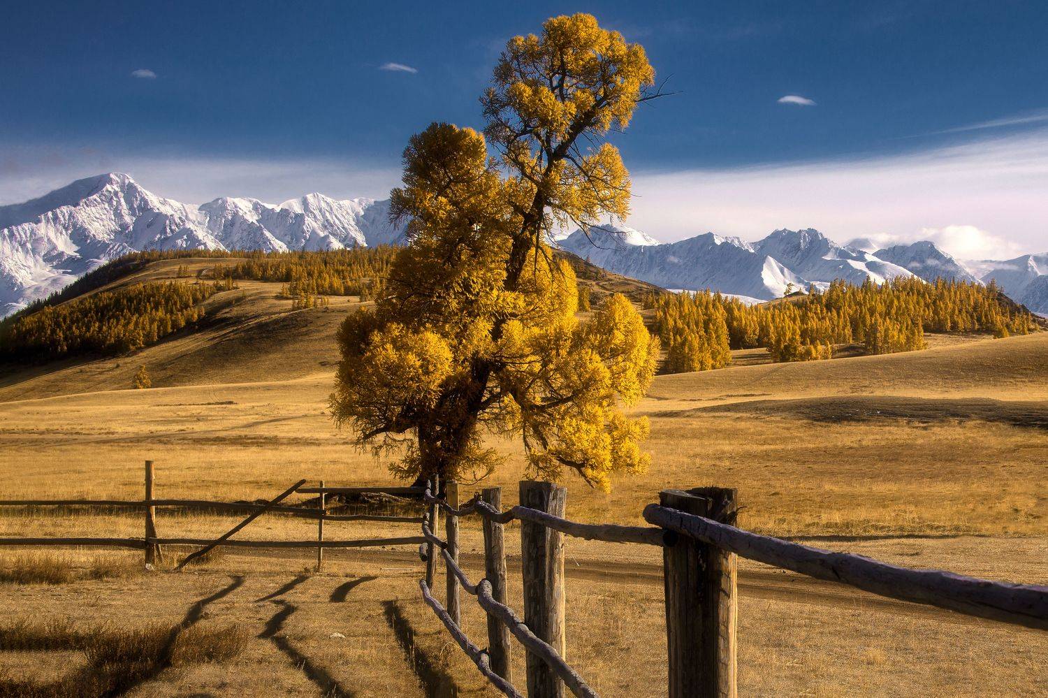 Автор: Юрий Столыпин , Юрий Столыпин