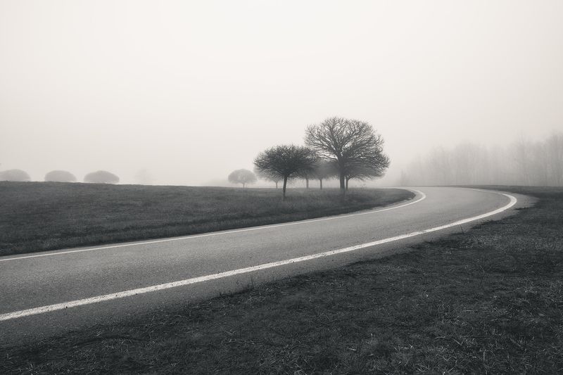 Поворот в туманеphoto preview