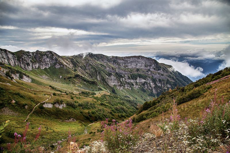 фото превью