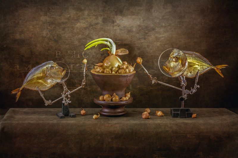 Вомеры и выращивание лукаphoto preview