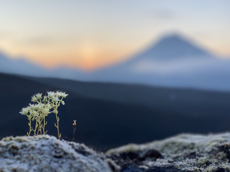 #камчатка Вулкан Удина. Камчаткаphoto preview