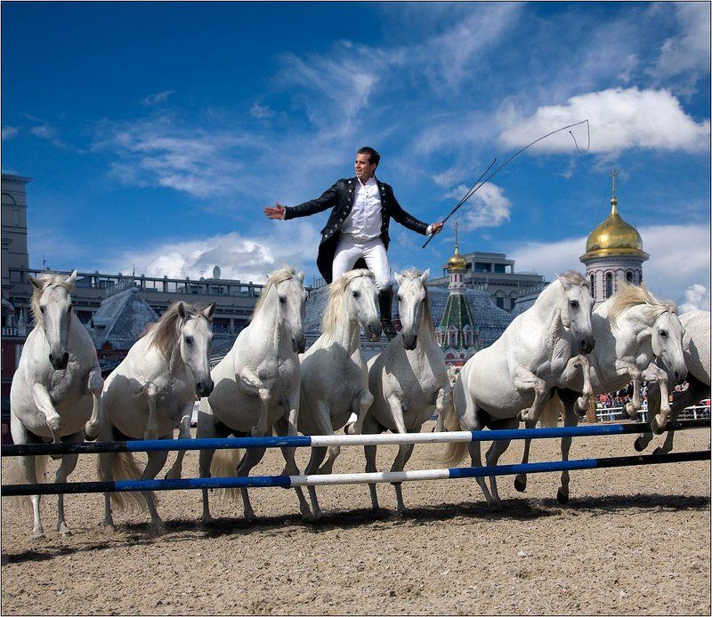 Лоренцо - летающий всадникphoto preview