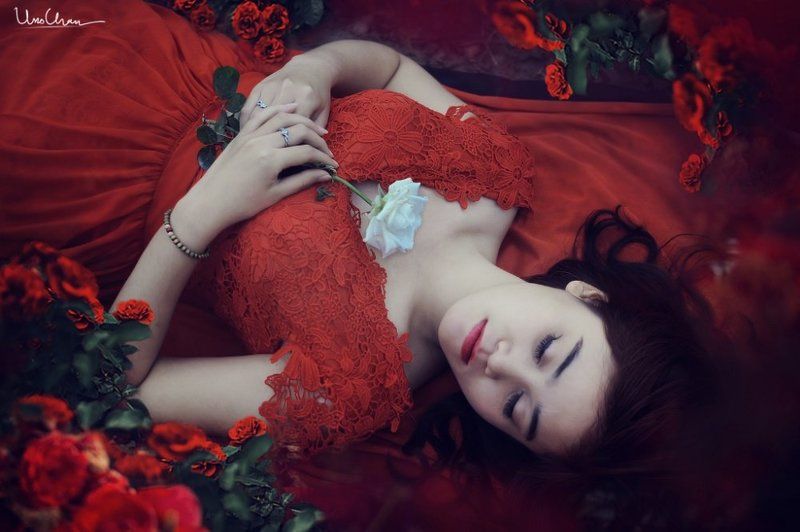 Girl, Hanoi, Red, Rose, Sleep, Unochan, Vietnam, Vuonghongchan photo preview