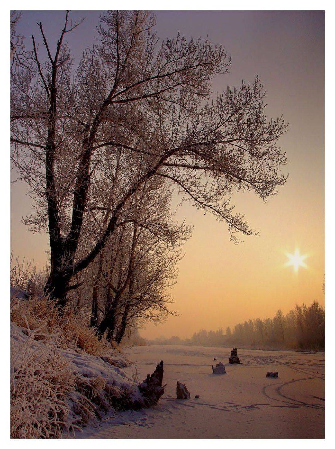 Вечерний фрэш. Автор: Олег Клочков , Олег Клочков