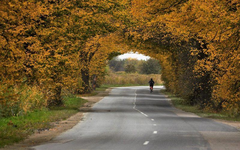 Осенние велопрогулкиphoto preview