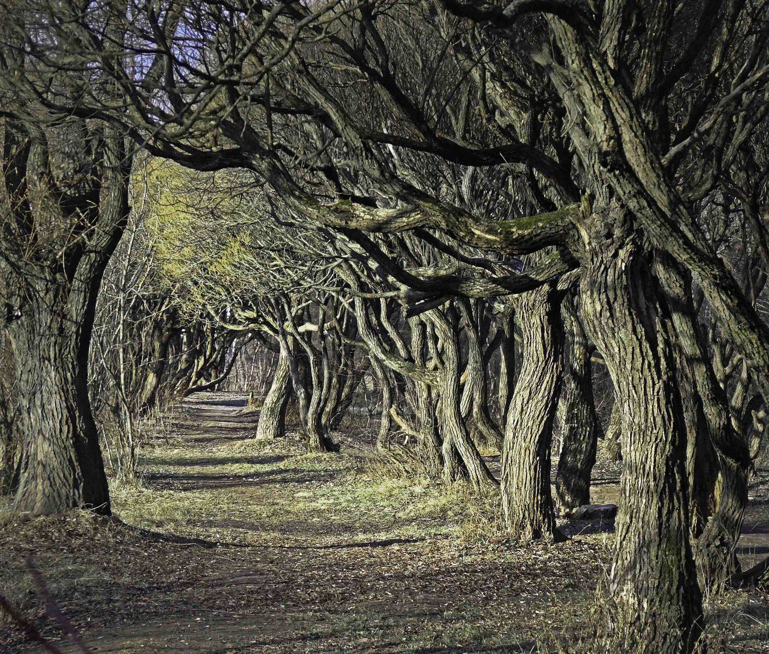 , Лихарев Александр