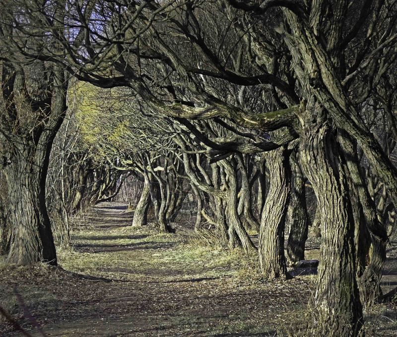 В осеннем парке...photo preview