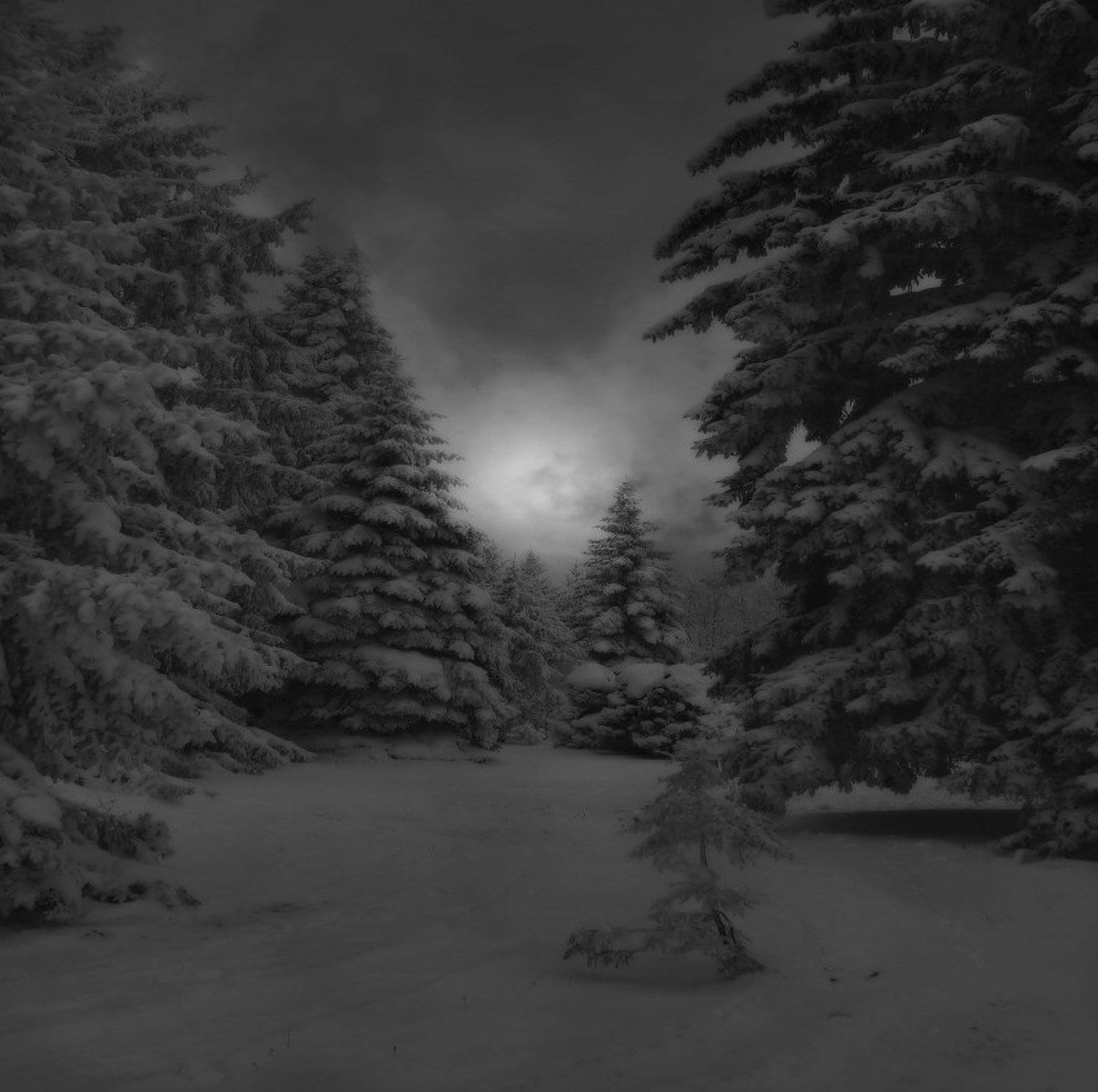 , Михаил  Пилипенко