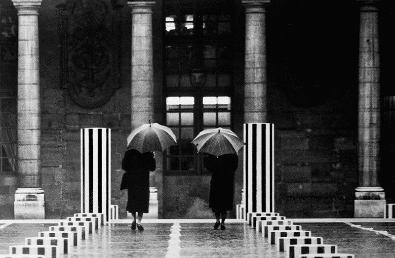 Arène de Burenphoto preview