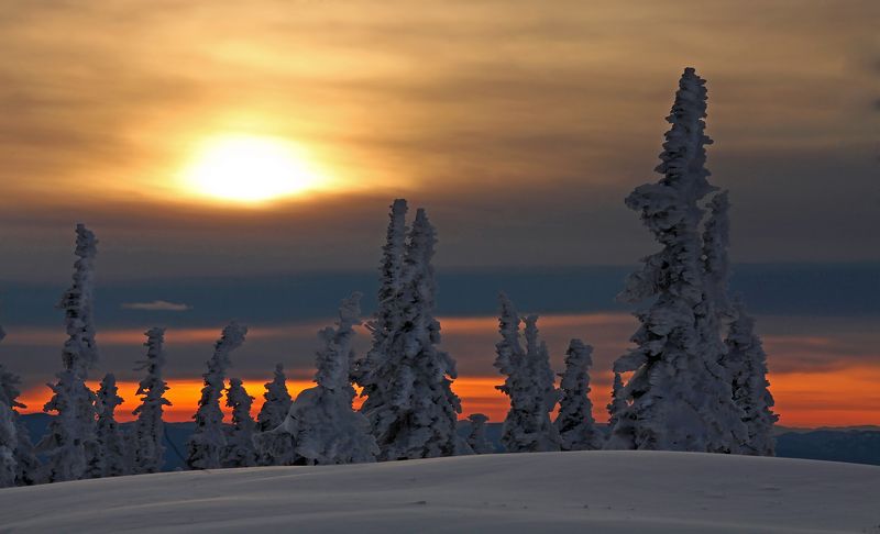 Рассветная ....photo preview