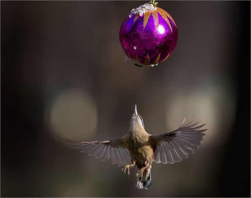 Предновогодние шаровые выкрутасы фото превью