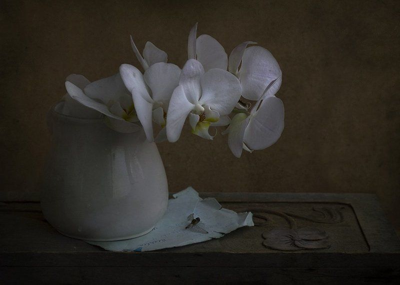 Опять зима...  ..photo preview